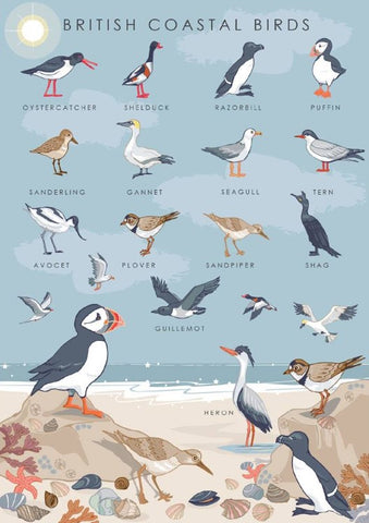 Greeting Card - British Coastal Birds