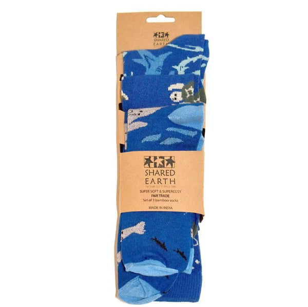 Bamboo socks three pack - sharks, seals and turtles