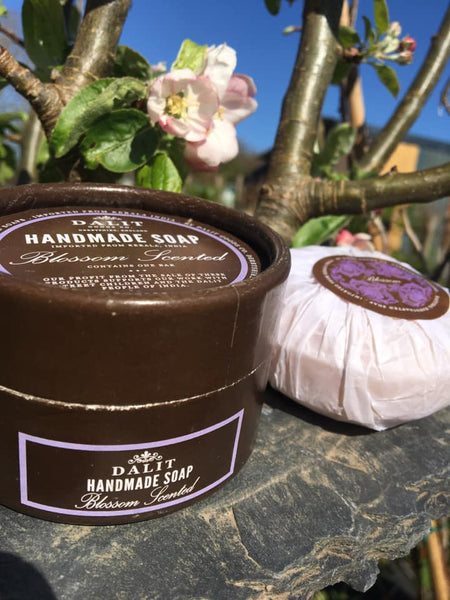 Dalit Soap Blossom