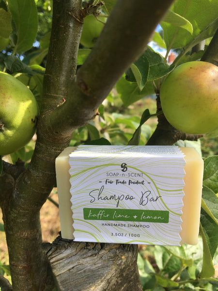 Solid Shampoo Bar - Kaffir Lime and Lemon