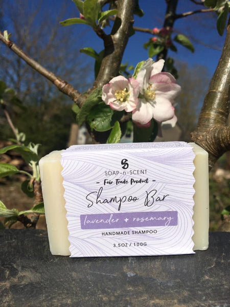 Solid Shampoo Bar - Lavender and Rosemary