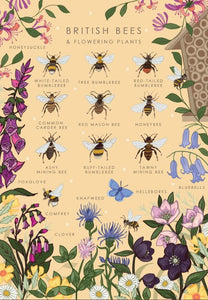 Greeting Card - British Bees and Flowers