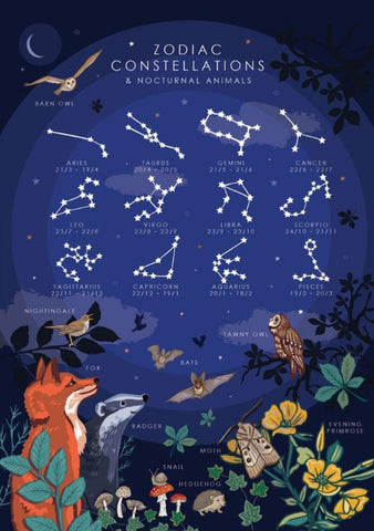 Greeting Card - Zodiac Constellations