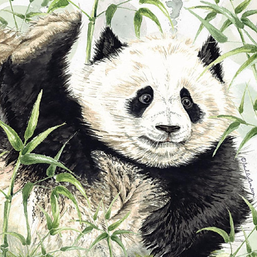 Greeting Card Endangered Collection - Panda