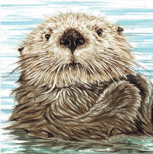 Greeting Card Endangered Collection - Sea Otter